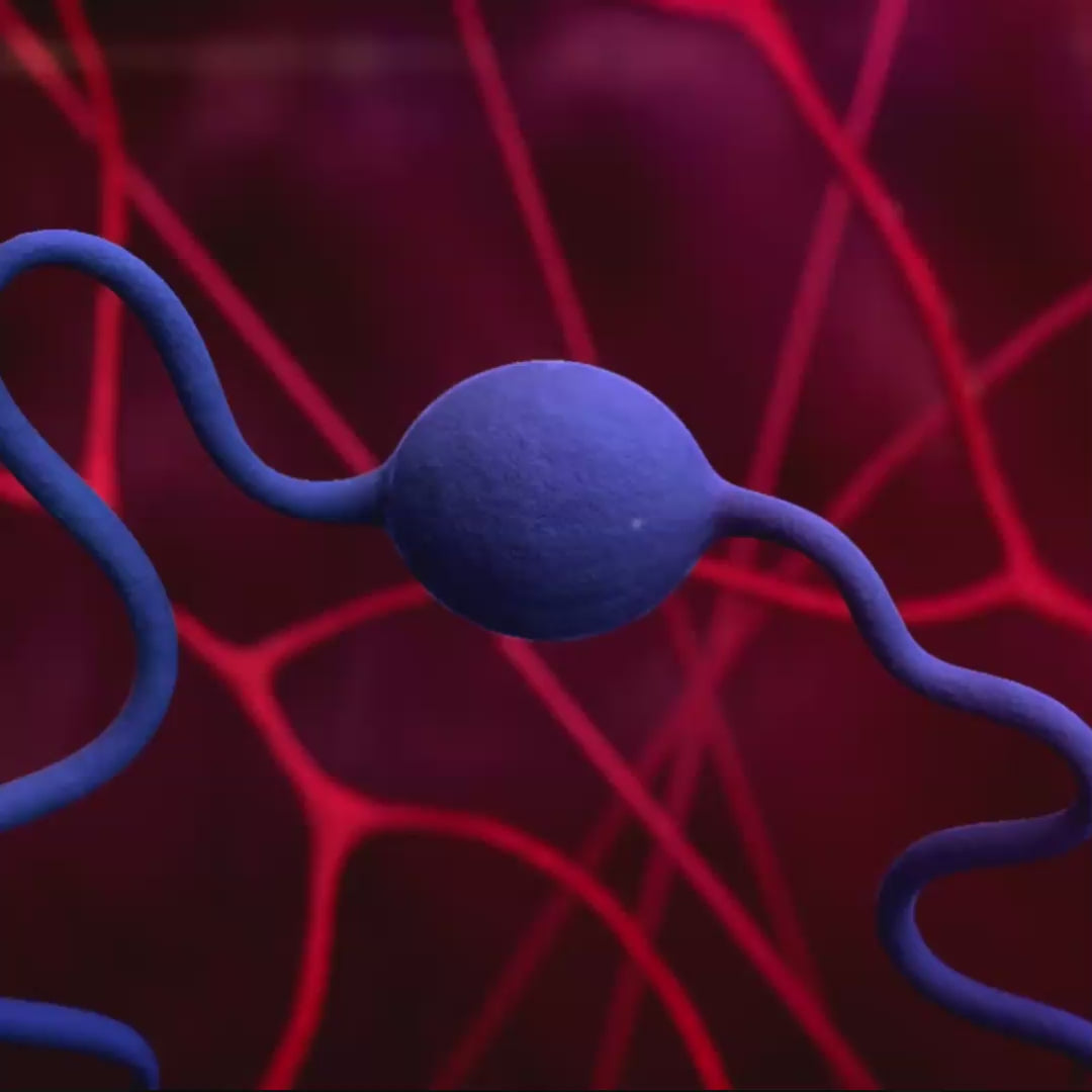 Intestine glots in purple color demostrating the process of GLPure 